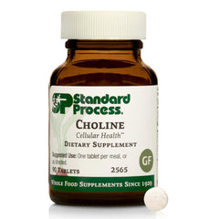Standard Process bottle front view showing label and choline product benefits