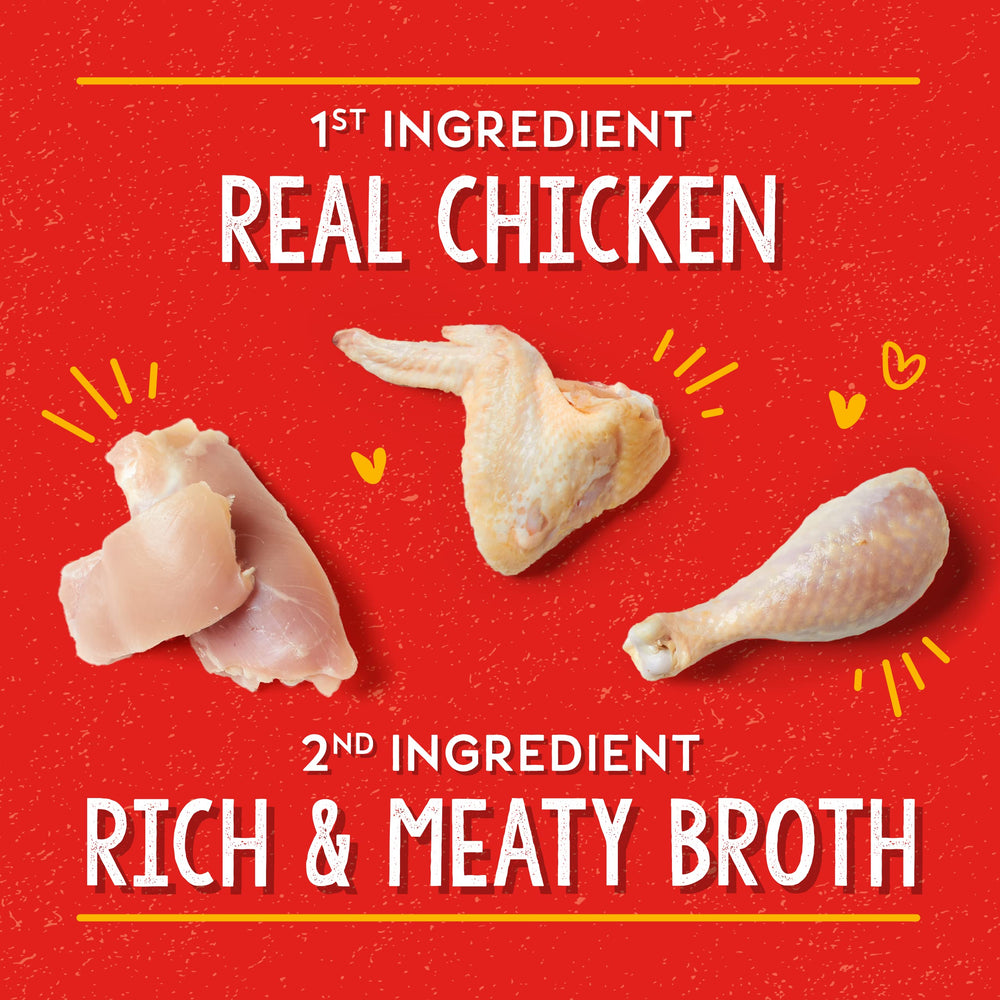 Stella & Chewy's spoon lifting broth showing hydrating savory texture