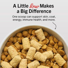 Stella & Chewy's freeze-dried pieces close-up showing nutrient-rich texture