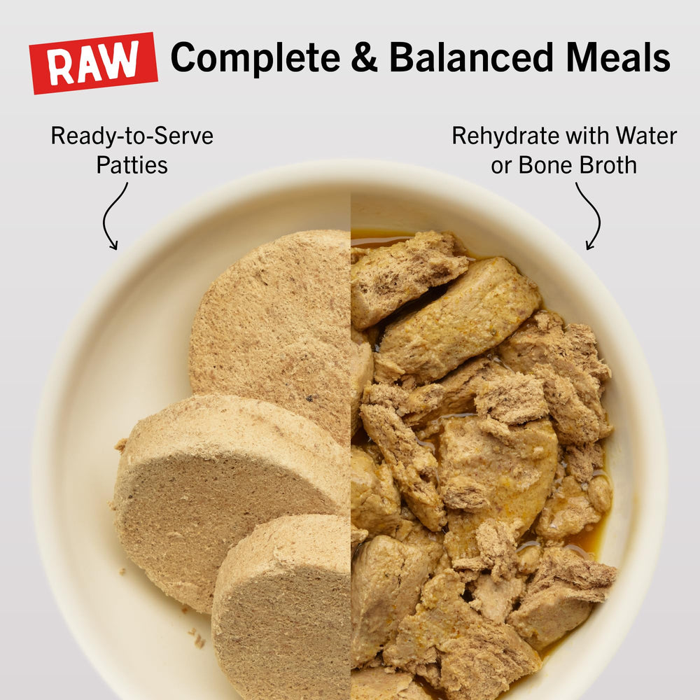 Stella & Chewy's close-up patty texture highlighting raw nutrition