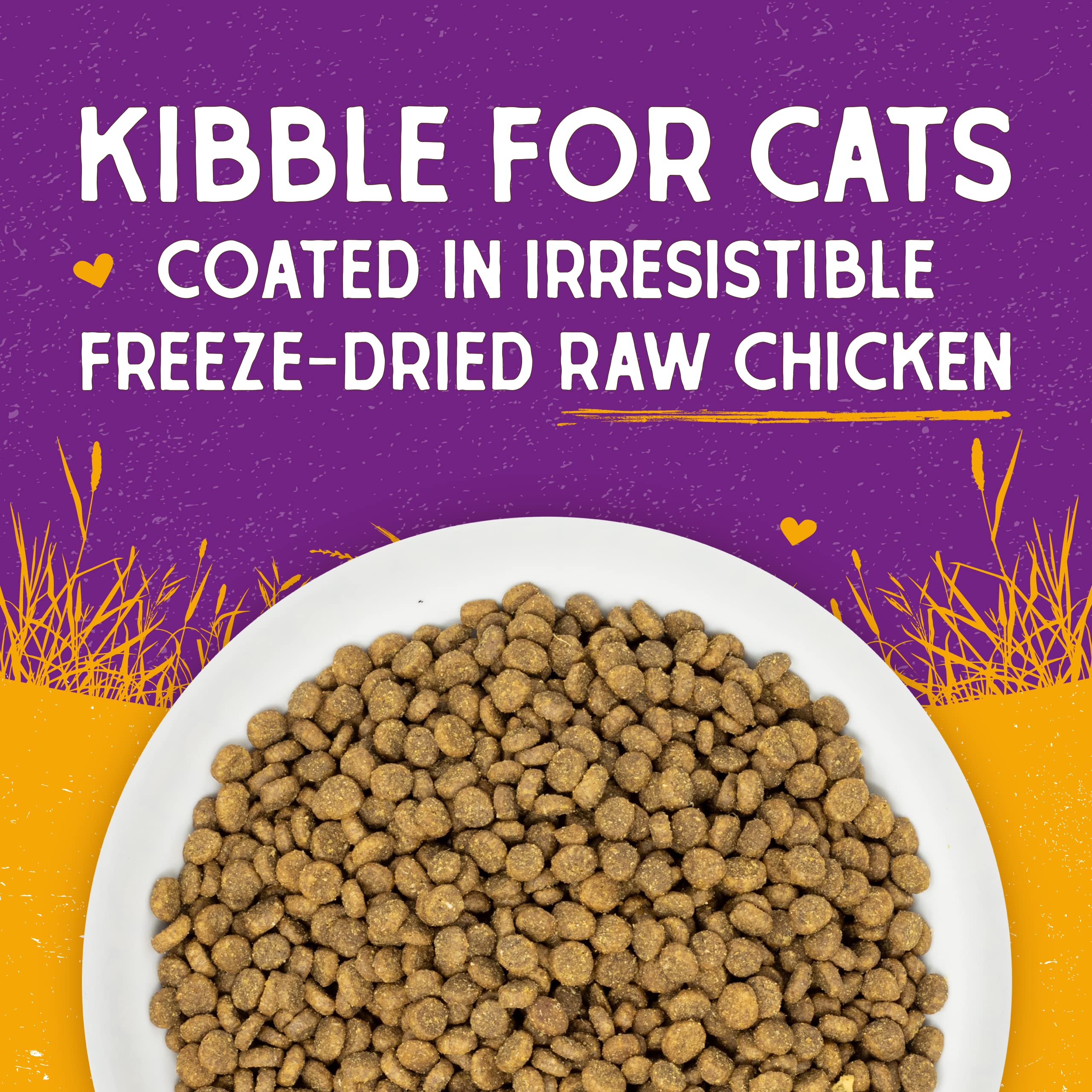 Stella & Chewy's kibble in a bowl illustrating serving readiness