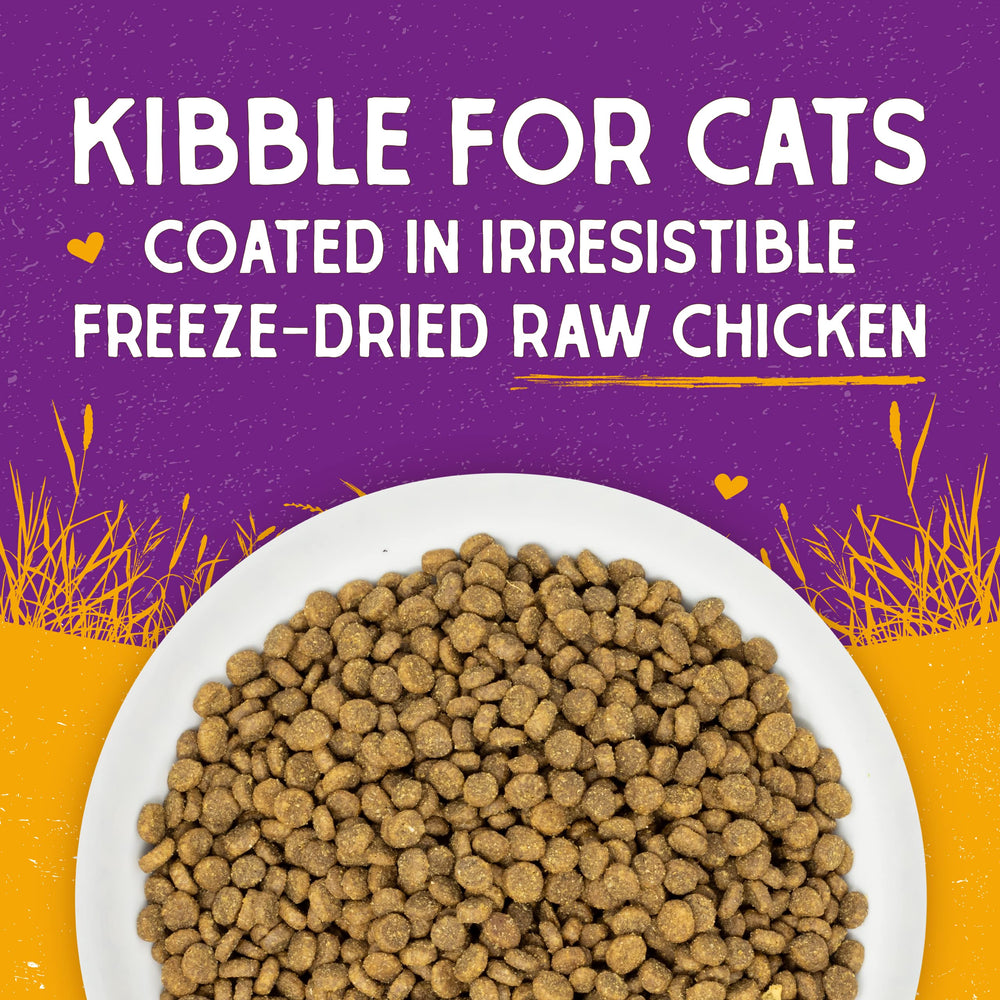 Stella & Chewy's kibble in a bowl illustrating serving readiness