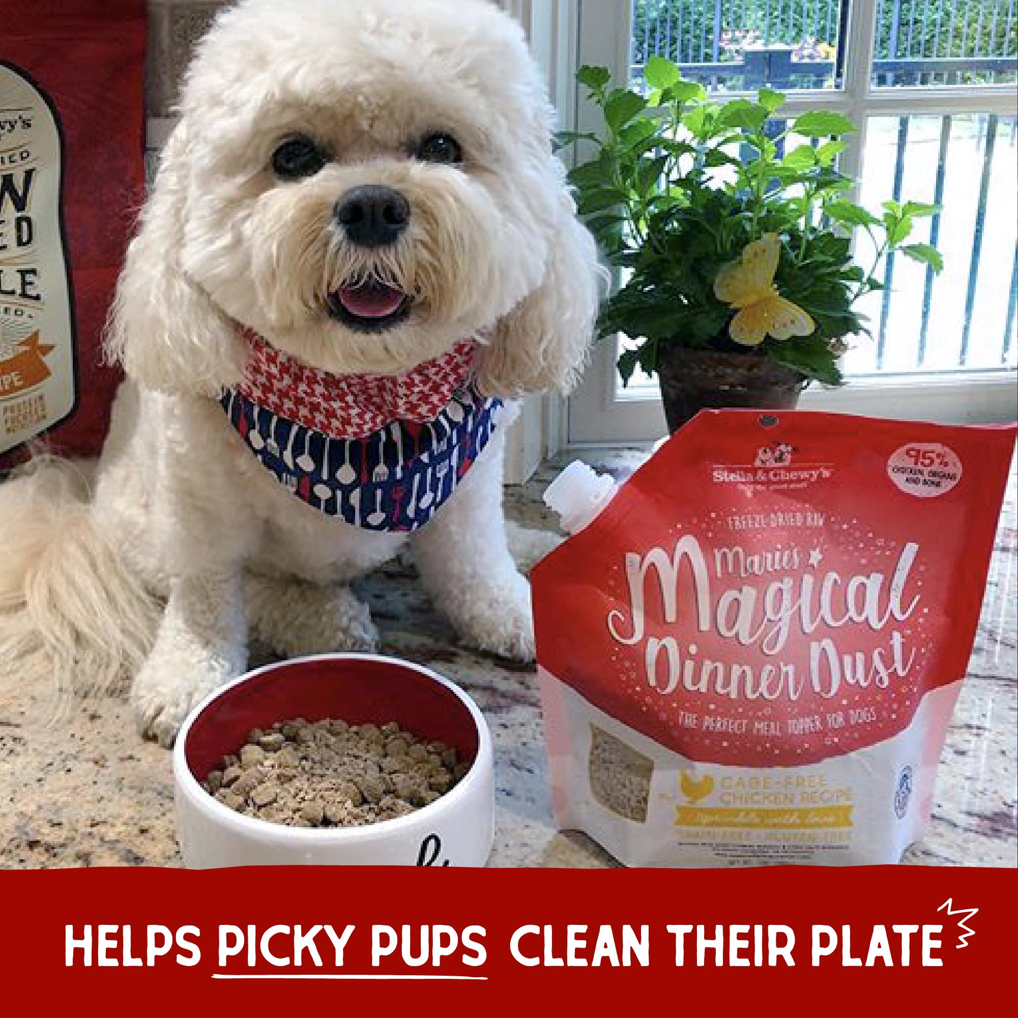Stella & Chewy's outdoor picnic scene serving the powder topper