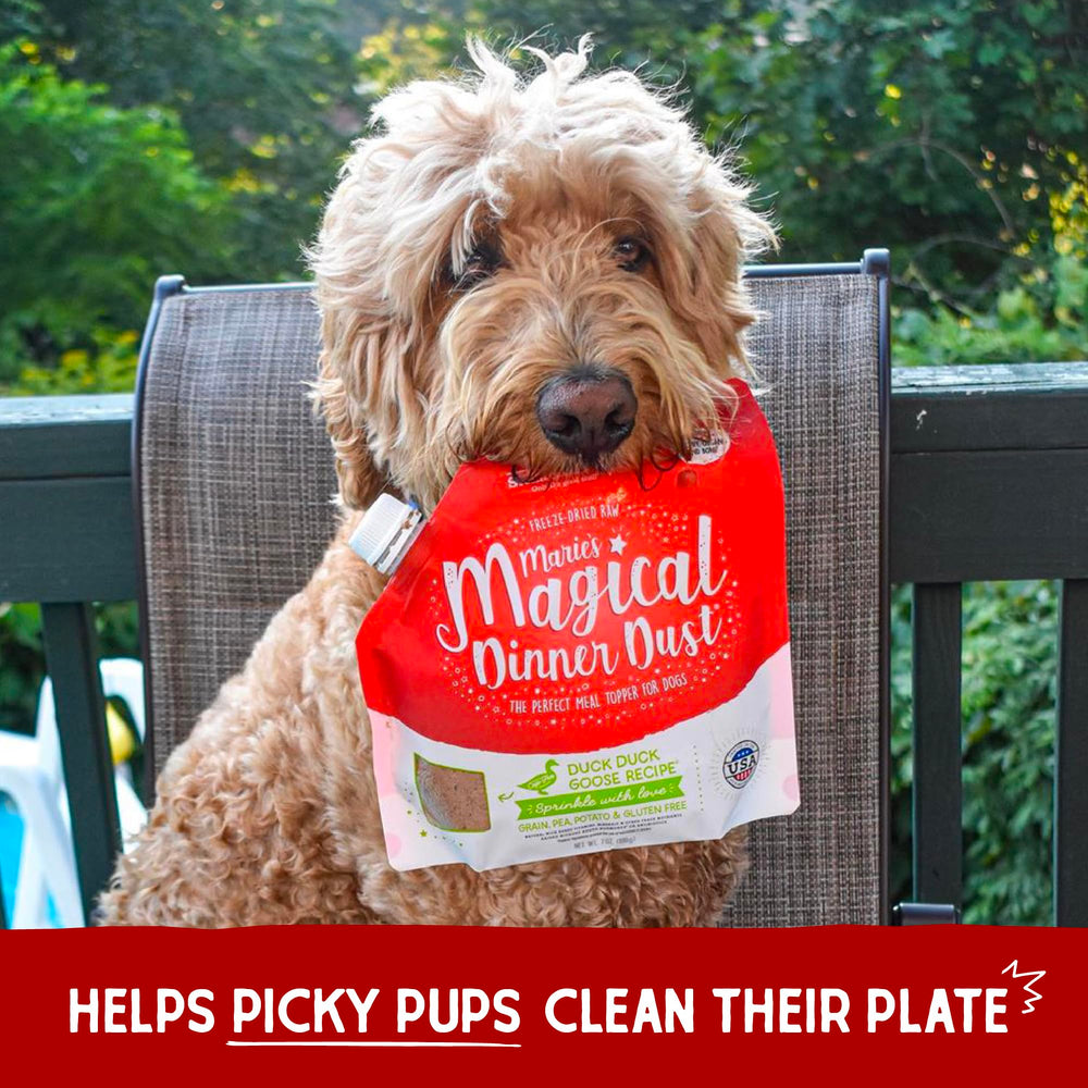 Stella & Chewy's small-batch USA kitchen scene signaling crafted quality