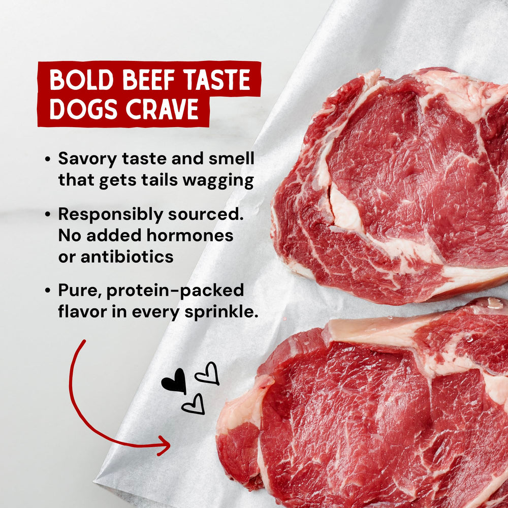 Stella & Chewy's measuring spoon portioning precise servings for dogs