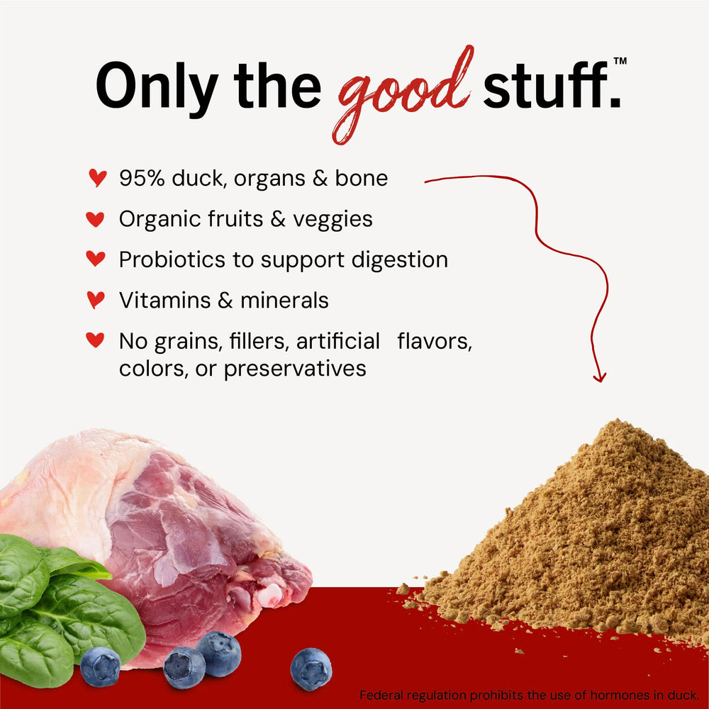 Stella & Chewy's pouring powder over kibble to boost flavor and entice eating
