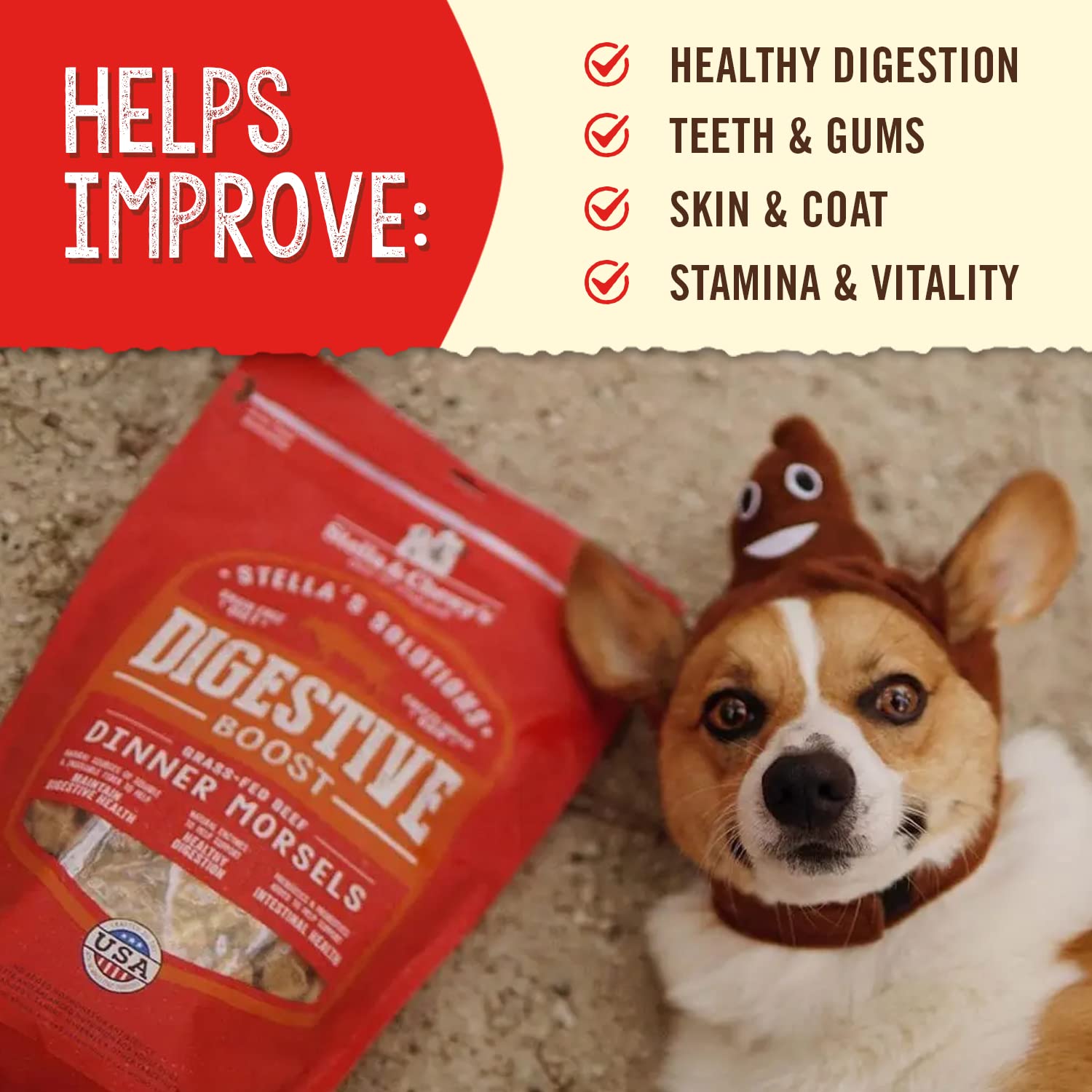 Stella & Chewy's serving bowl with rehydrated meal boosting palatability