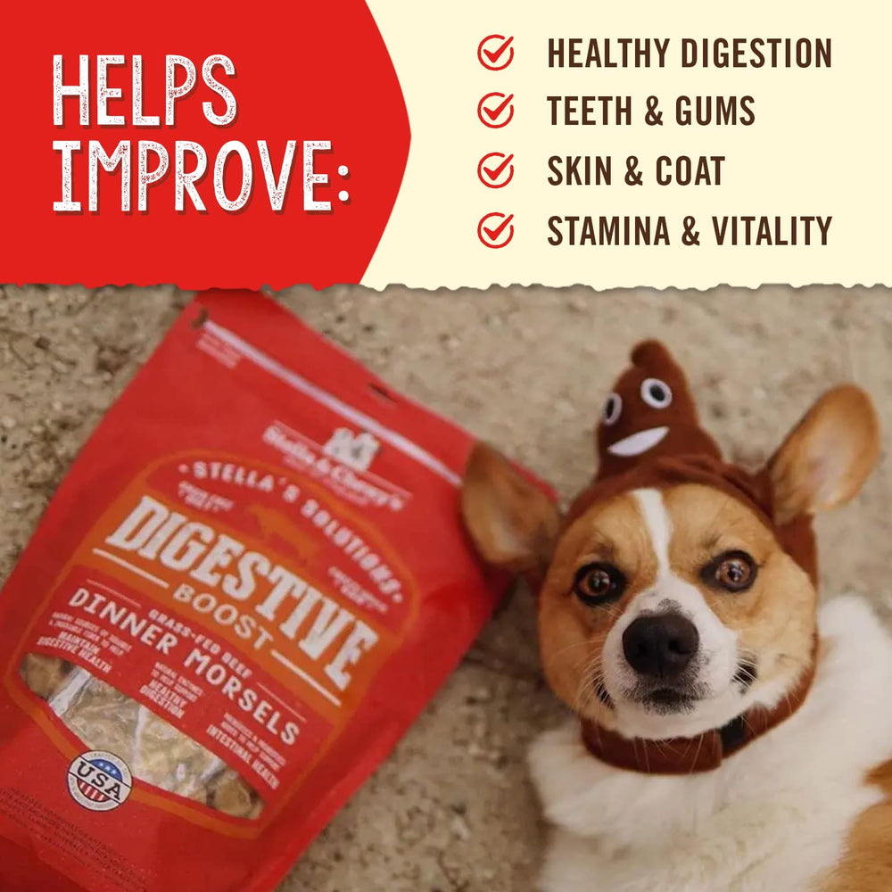 Stella & Chewy's serving bowl with rehydrated meal boosting palatability