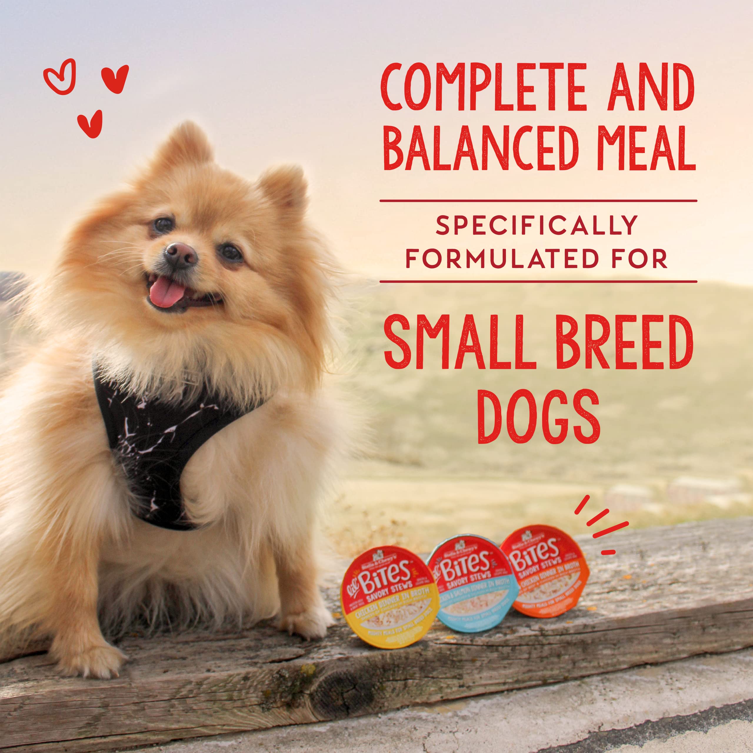 Stella & Chewy's cup in hand demonstrating small-breed portion size