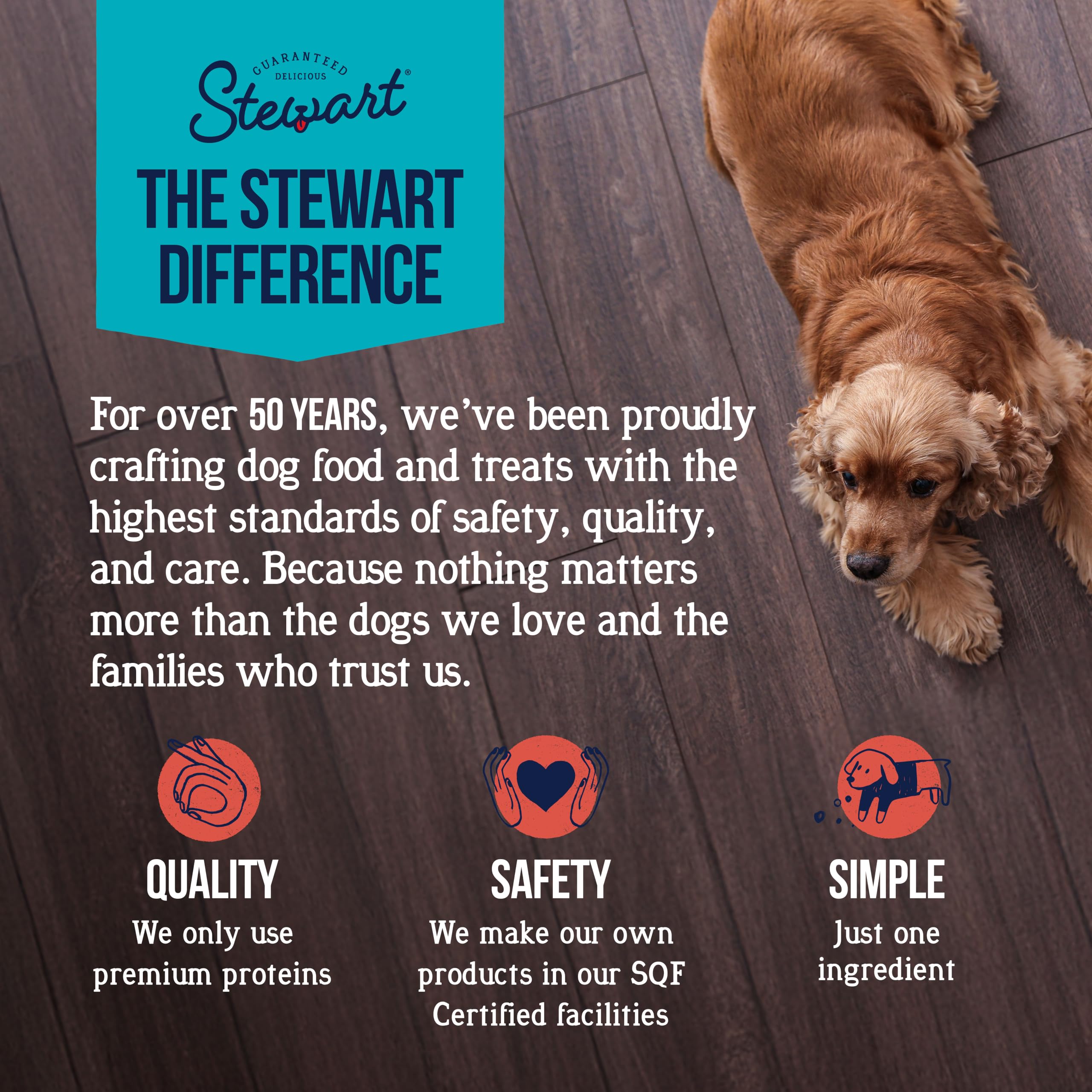Stewart morsels stuffed into puppy toy for enrichment and teething