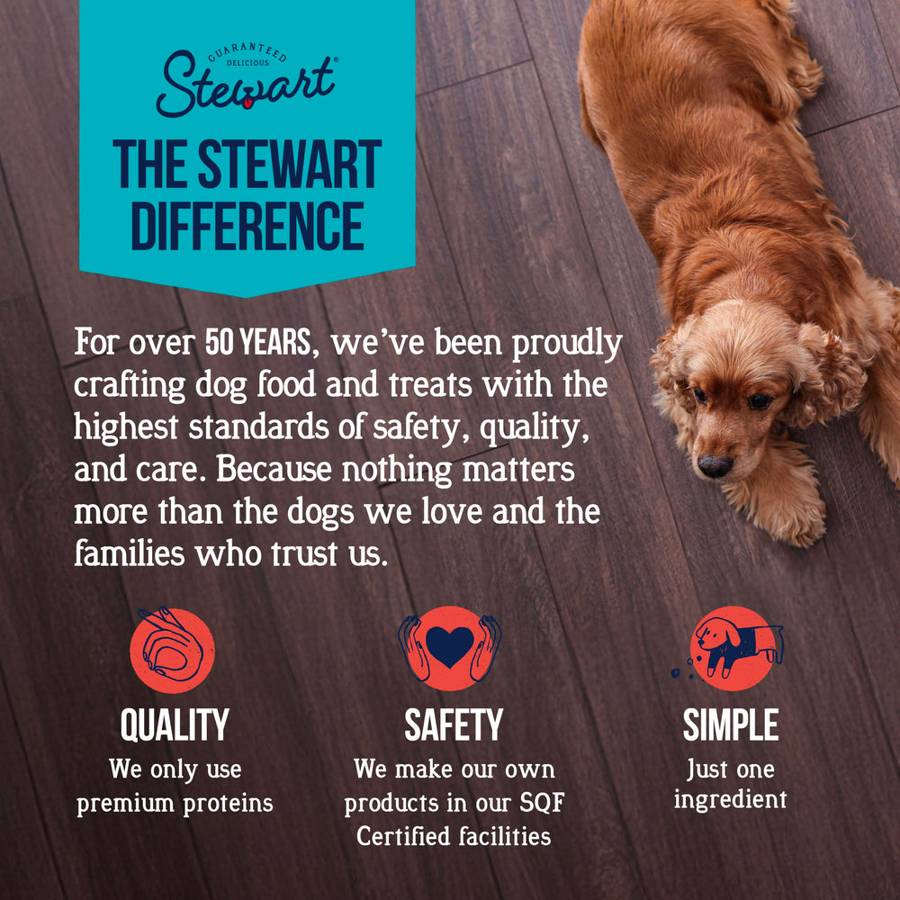 Stewart morsels stuffed into puppy toy for enrichment and teething