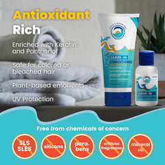 STREAM 2 SEA green tea tulsi wakame ingredients highlighting antioxidant benefits