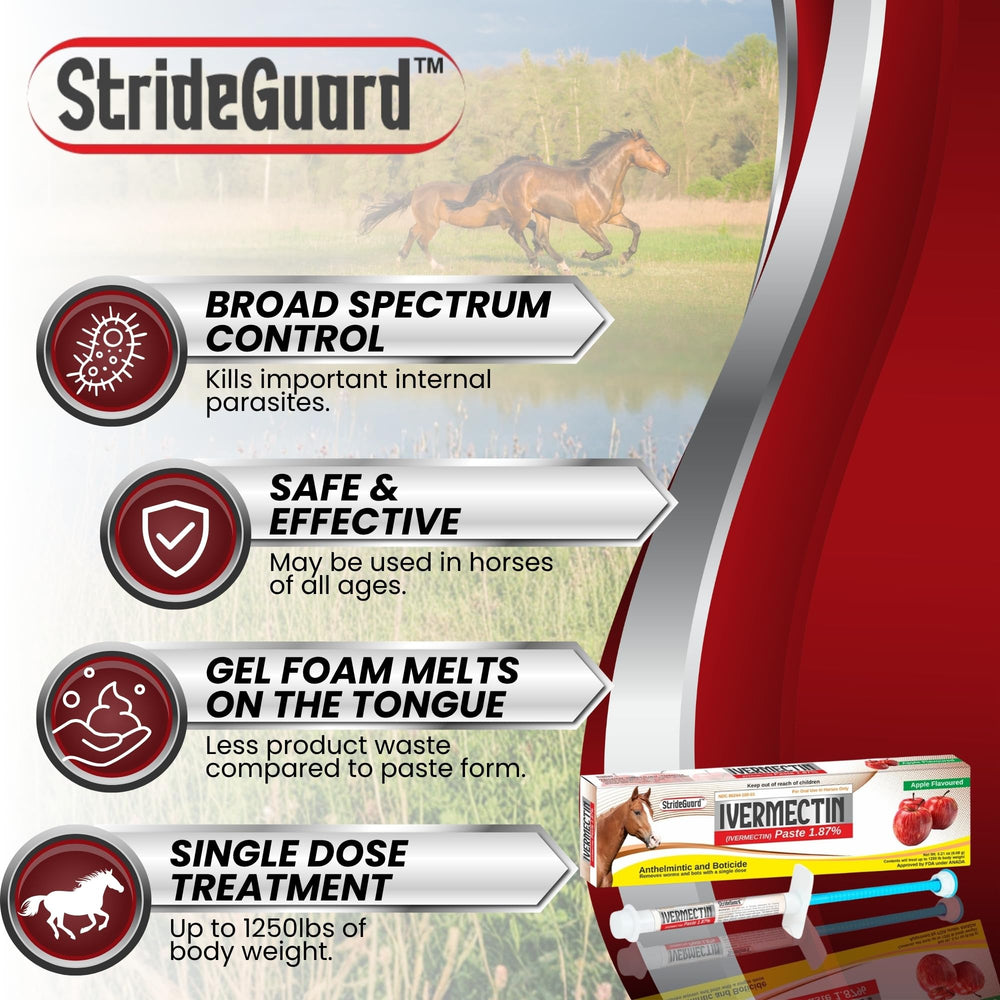 StrideGuard application demo on horse showing easy oral delivery and reduced stress