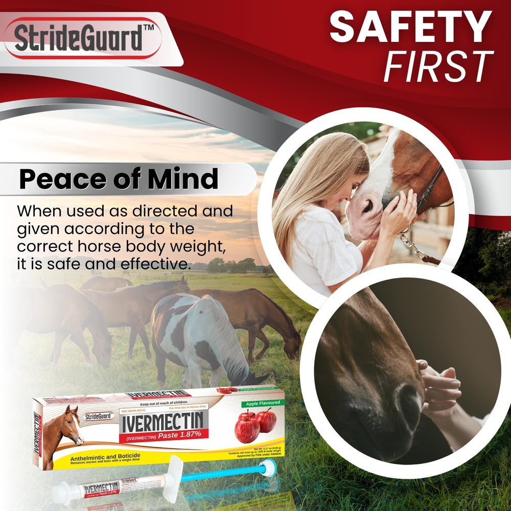 StrideGuard paste texture close-up illustrating smooth consistency for mess-free dosing