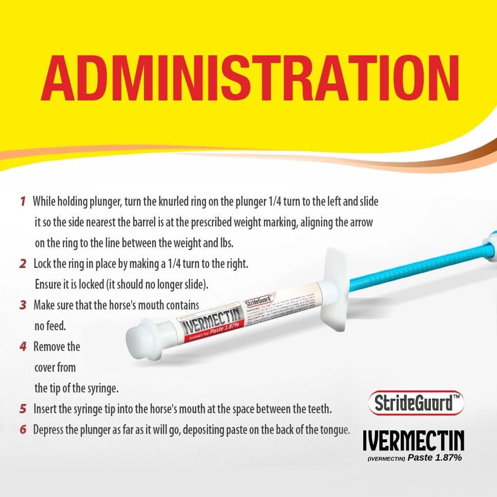 StrideGuard placed in stable setting showing farm-friendly use by trainers and vets