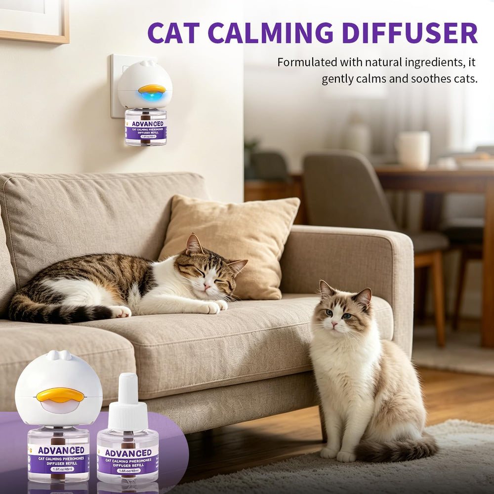 Subccow diffuser with two relaxed cats showing reduced stress in home
