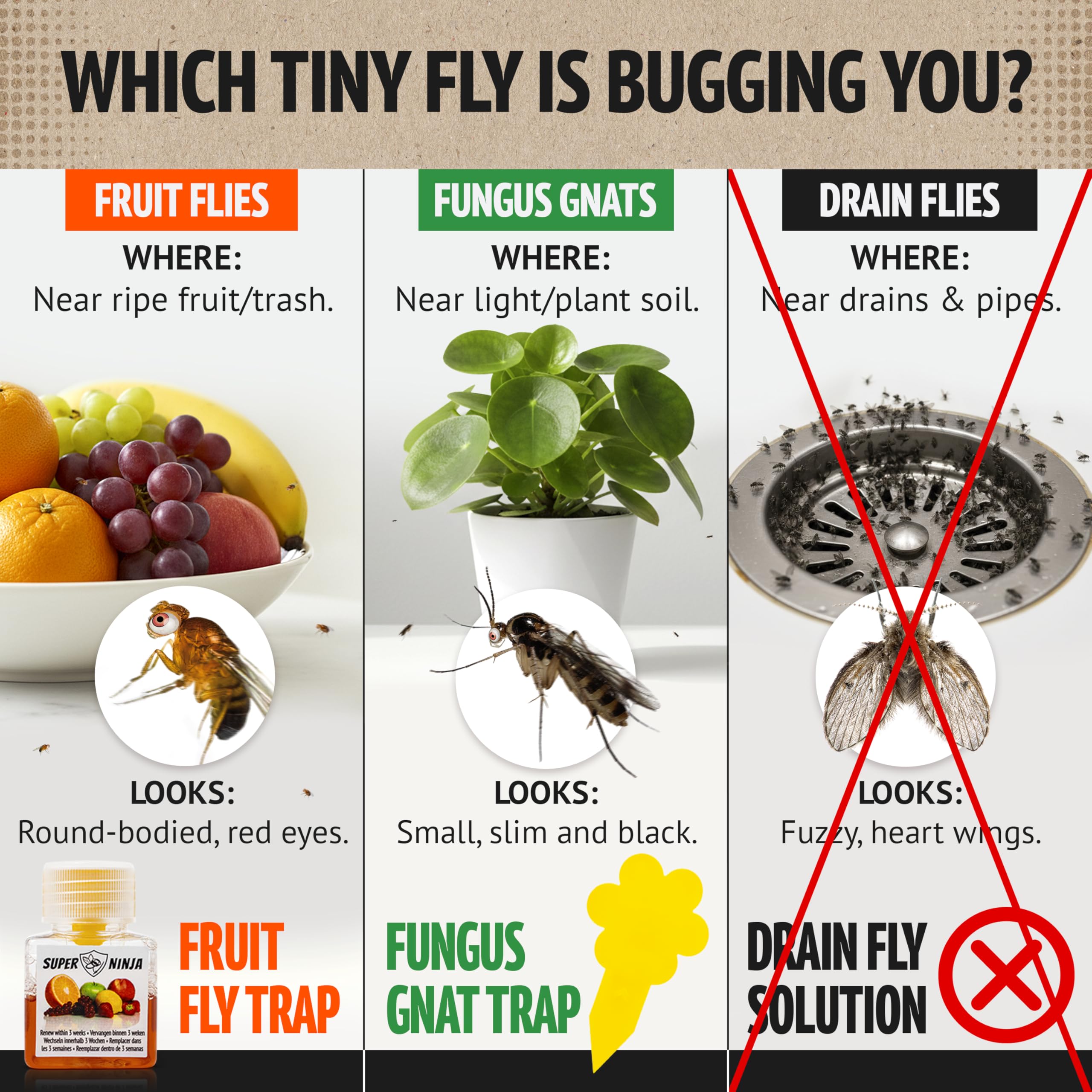 Close-up of Super Ninja natural liquid bait that attracts fruit flies quickly
