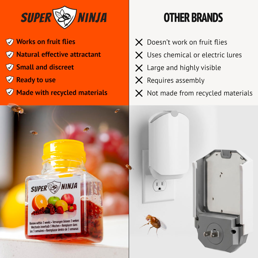 Three Super Ninja traps staged near a fruit bowl to block fly hotspots