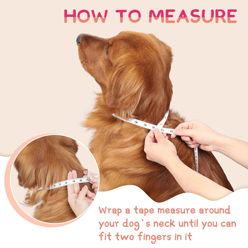 Supet collar folded flat for storage saves space and stays ready