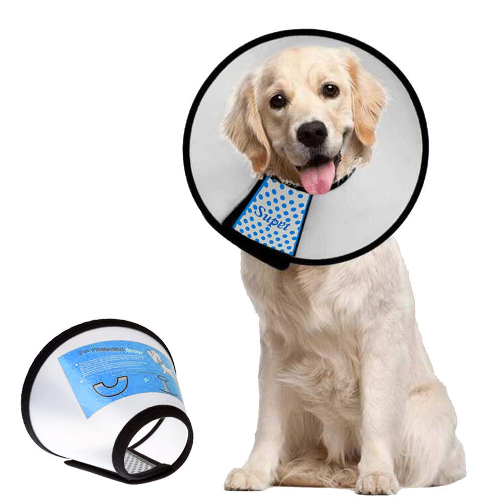 Supet front view cone collar showing full coverage and protection