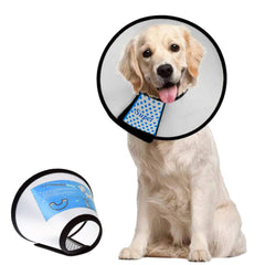 Supet front view cone collar showing full coverage and protection