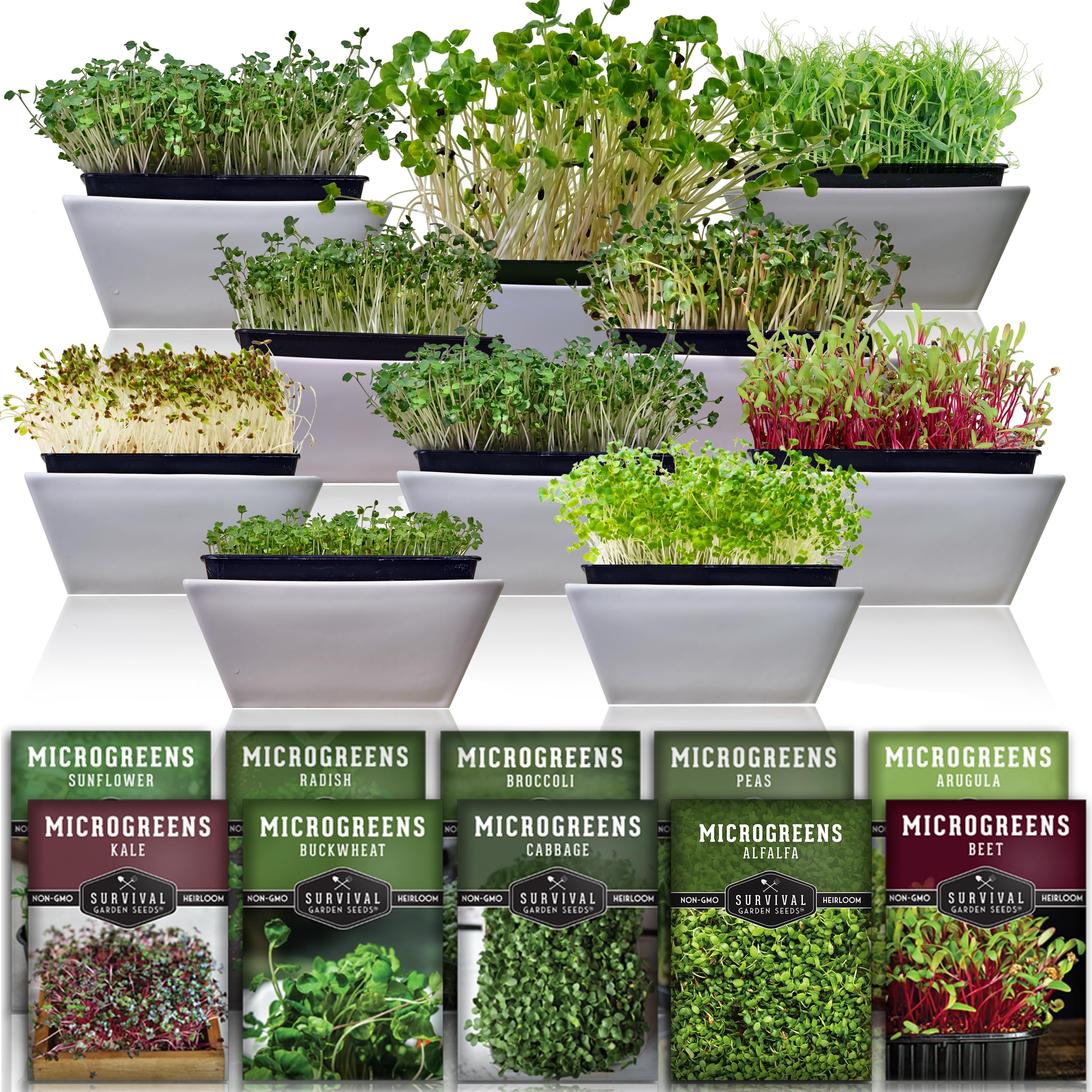 SURVIVAL GARDEN SEEDS front packaging showing ten heirloom microgreen types and benefits