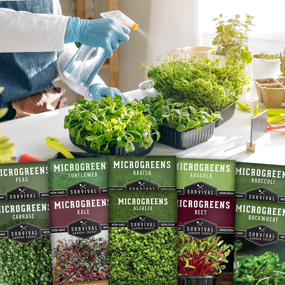 SURVIVAL GARDEN SEEDS tray of mixed microgreens in sunlight showing quick indoor harvest
