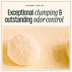 Sustainably Yours clump demonstration with firm scoop showing easy cleaning benefit