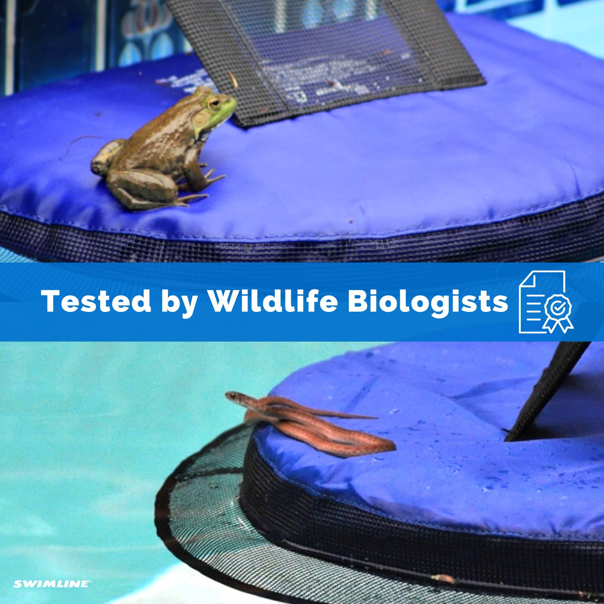 Swimline FrogLog positioned in backyard pool, reduces cleanup effort