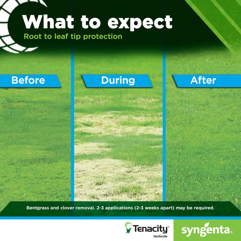 Syngenta Tenacity bottle highlighting mesotrione 40% active ingredient clarity