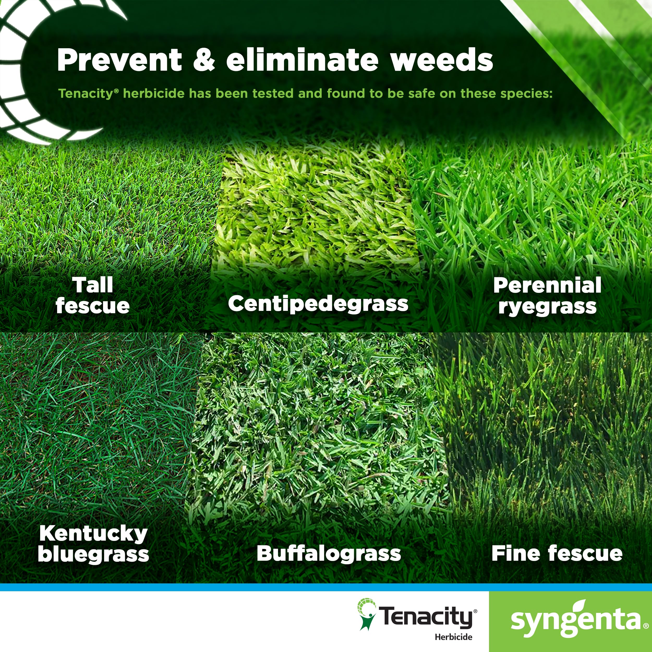 Syngenta Tenacity being mixed into a garden sprayer for accurate application