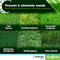 Syngenta Tenacity being mixed into a garden sprayer for accurate application