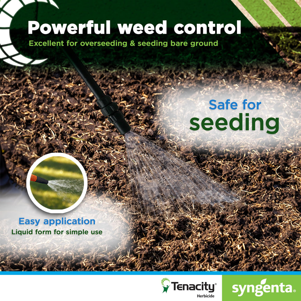 Syngenta Tenacity treated area next to untreated turf showing visible difference