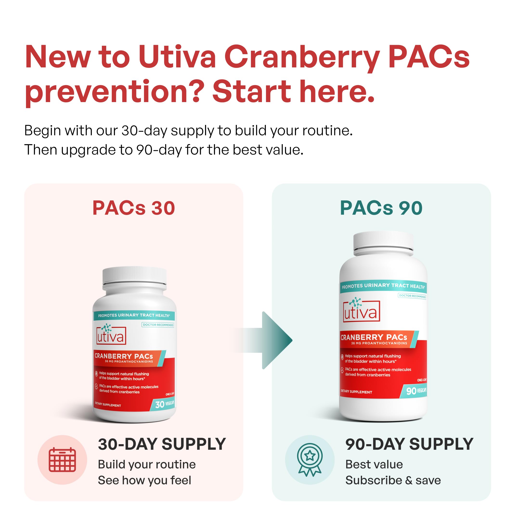 Fresh cranberries near Szio+ Utiva representing real cranberry-derived PACs