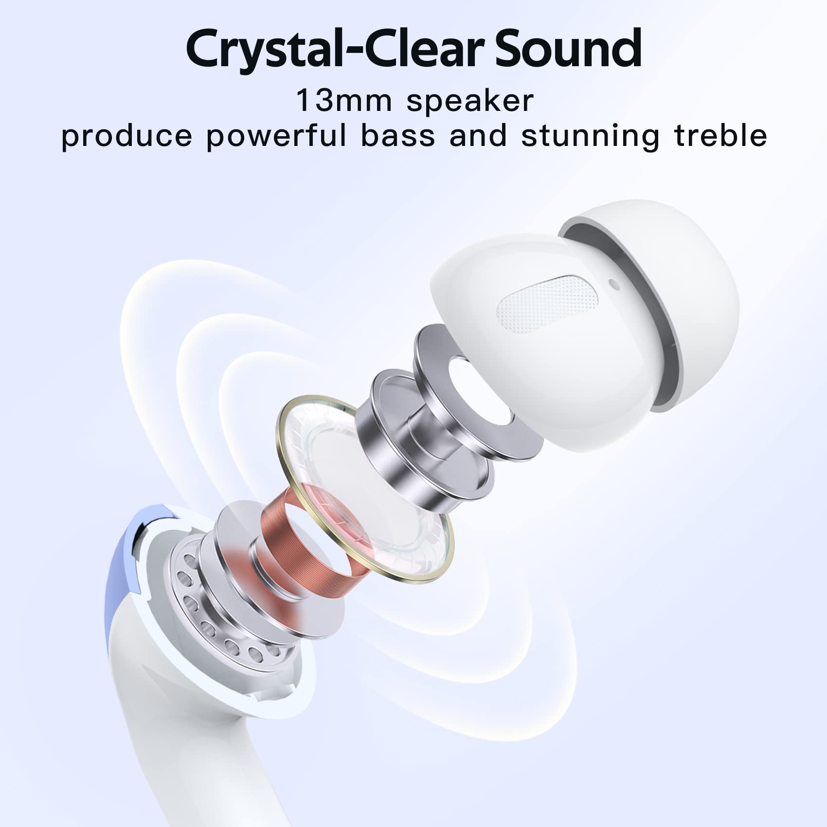 TAGRY contents layout with extra ear tips illustrating size options and customization