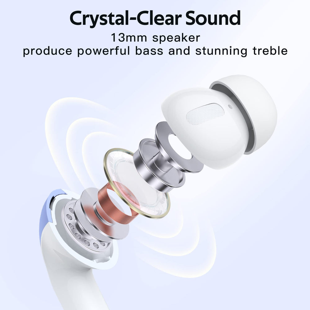 TAGRY contents layout with extra ear tips illustrating size options and customization