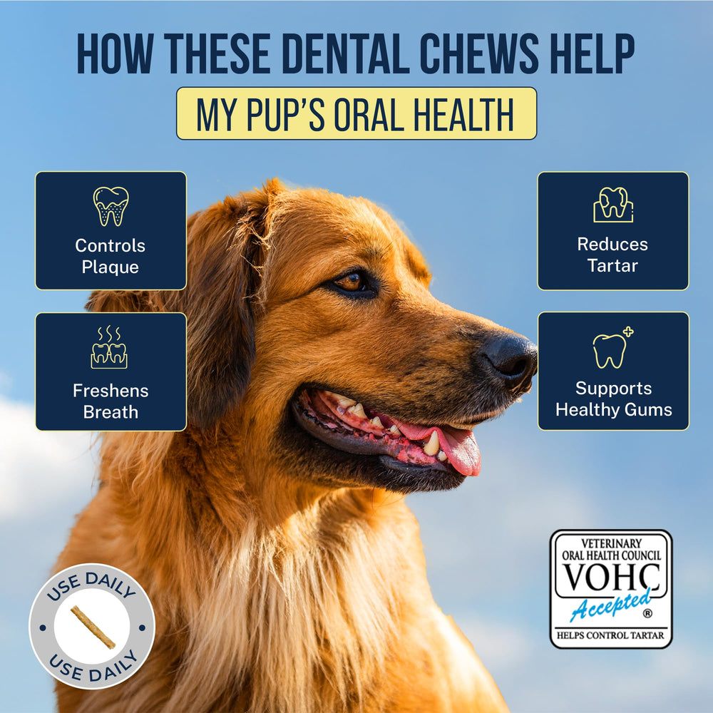 Tartar Shield chew in a large dog’s mouth promoting cleaner teeth