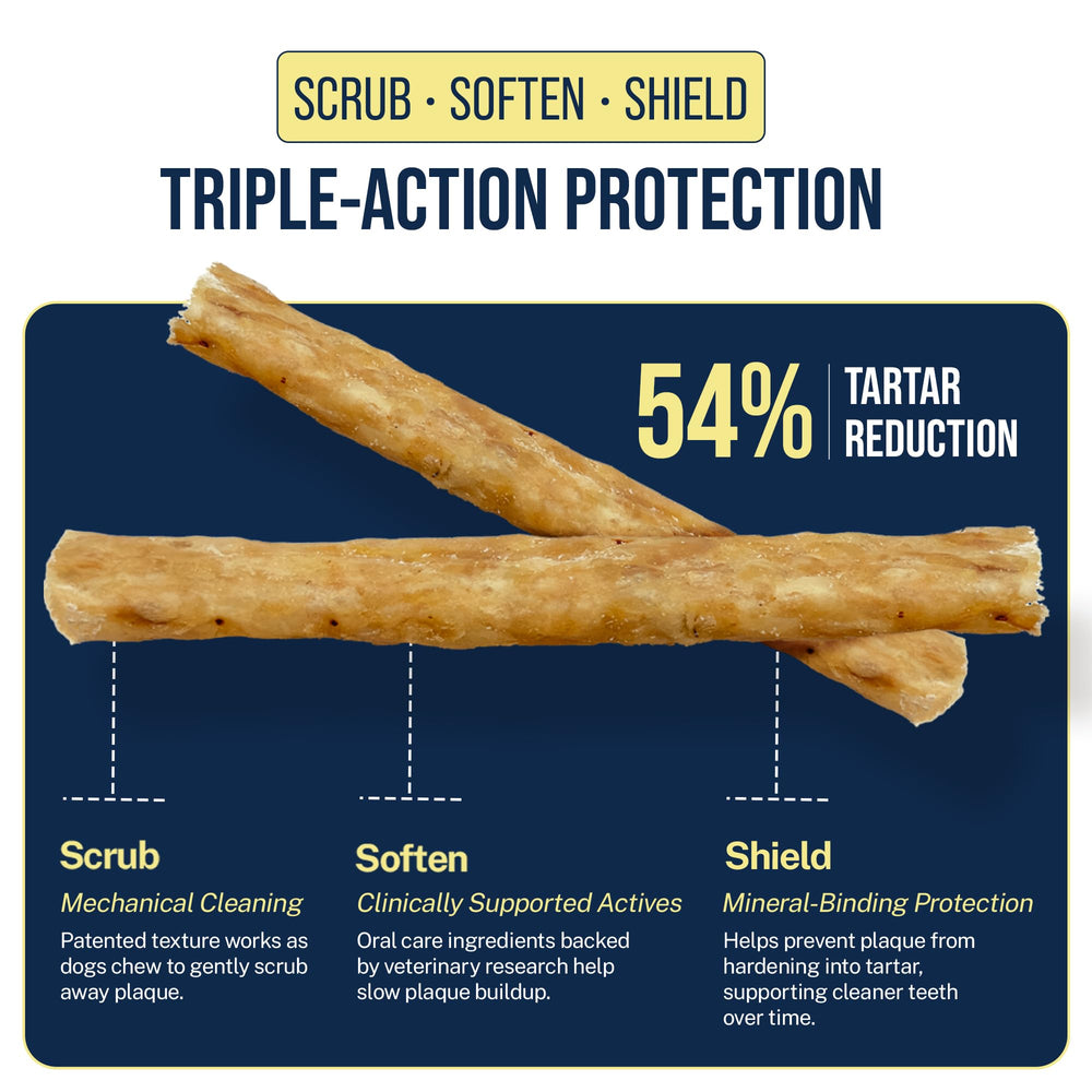 Tartar Shield chew next to a hand showing size for large breeds