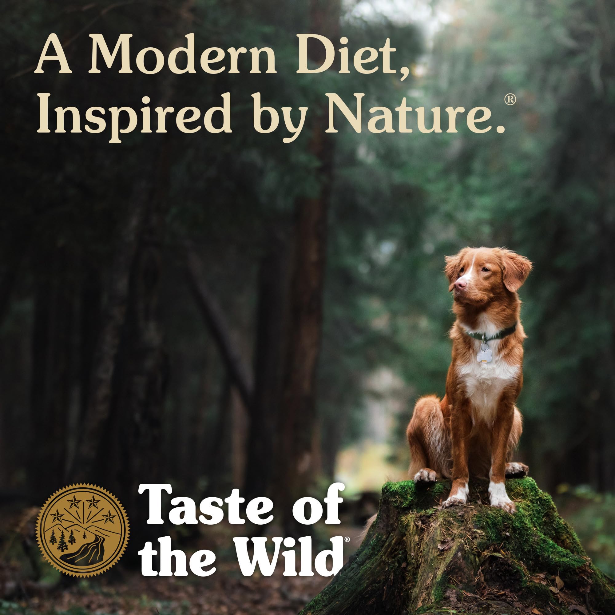 Taste of the Wild bag in a dog park setting showing active lifestyle benefit