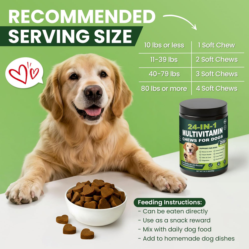Tciika senior dog walking easily to show joint support