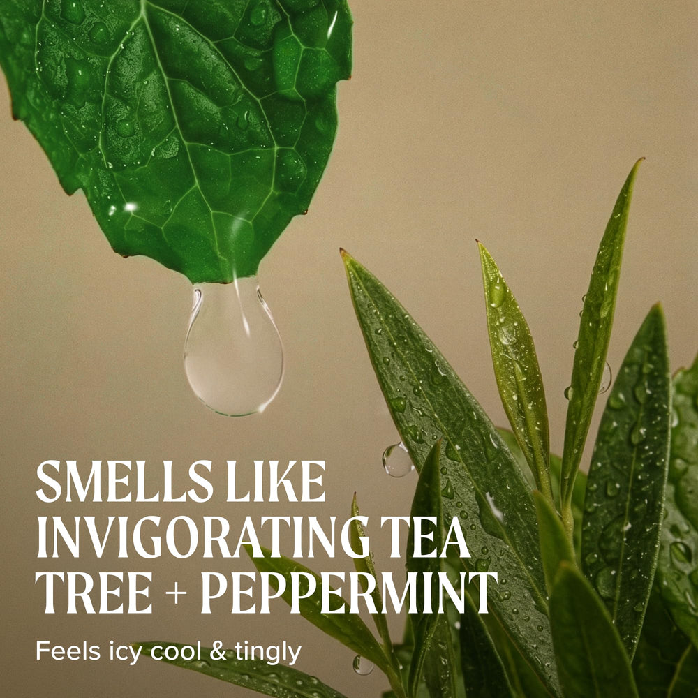 Tea Tree tea tree oil ingredient close-up for invigorating benefit