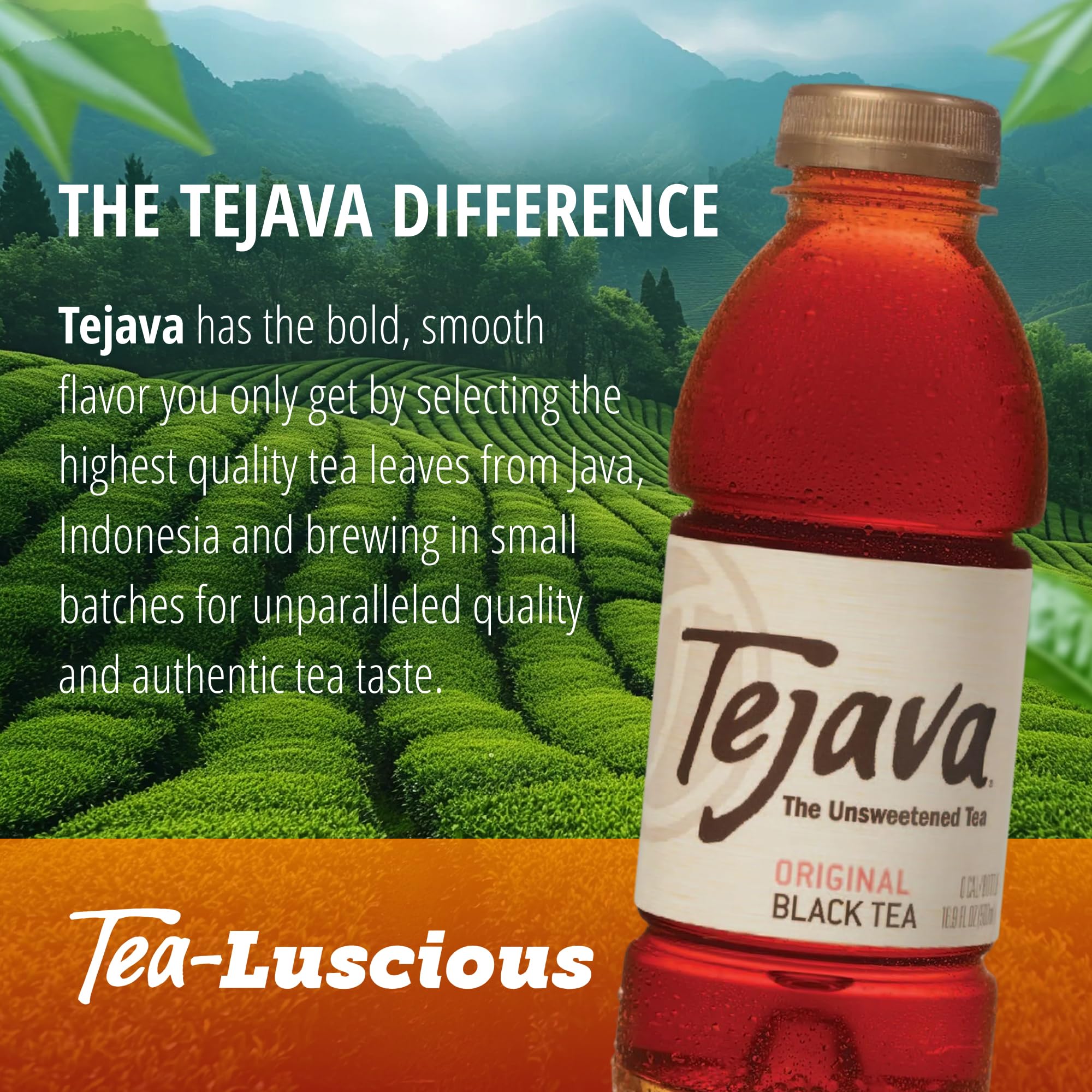 Tejava pack of 12 box staged for storage showcasing bulk supply and ready-to-serve convenience