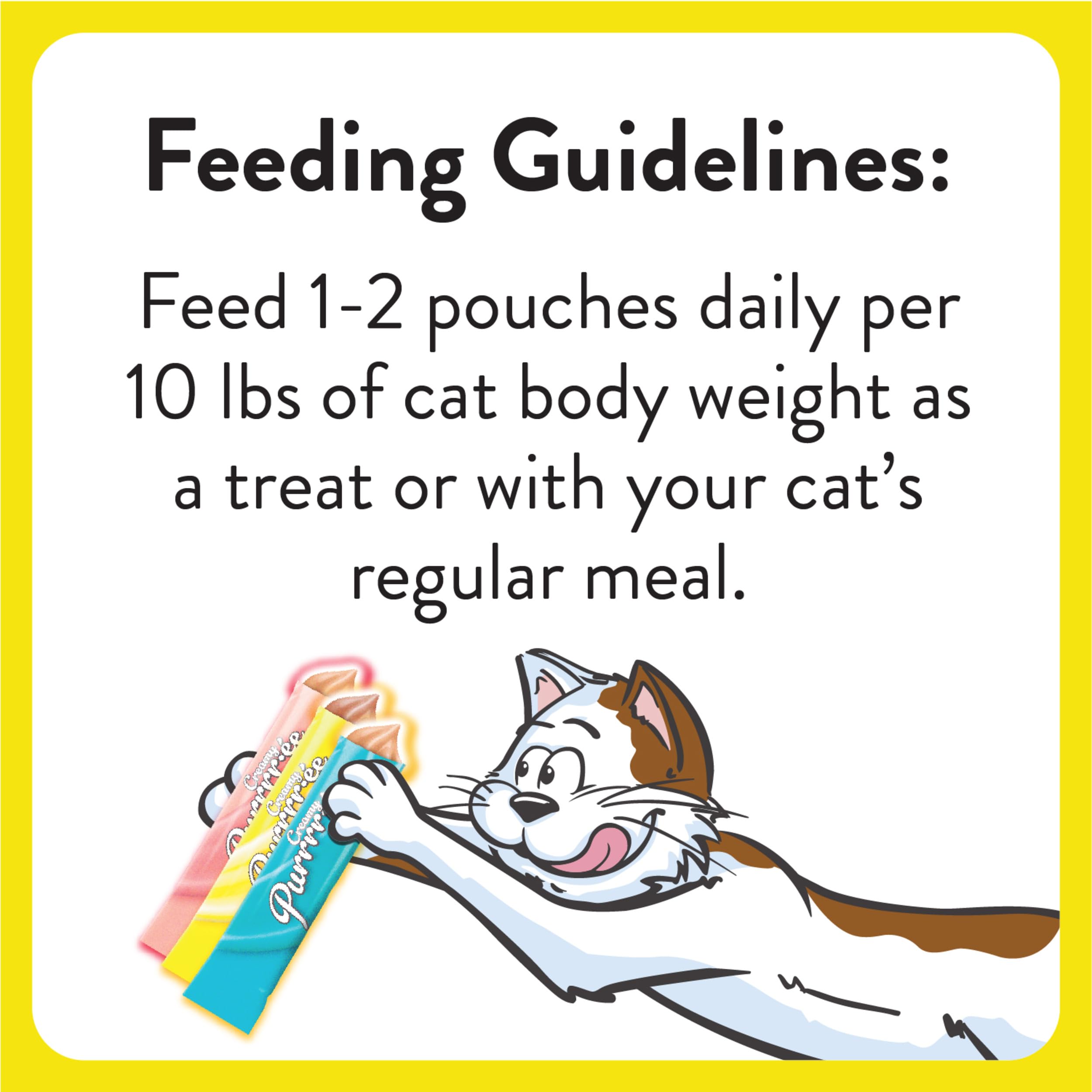 Temptations hand feeding a cat a puree tube, interactive bonding and training aid