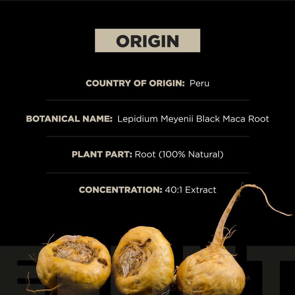 TERRA ELMNT formula infographic showing enhanced absorption benefit
