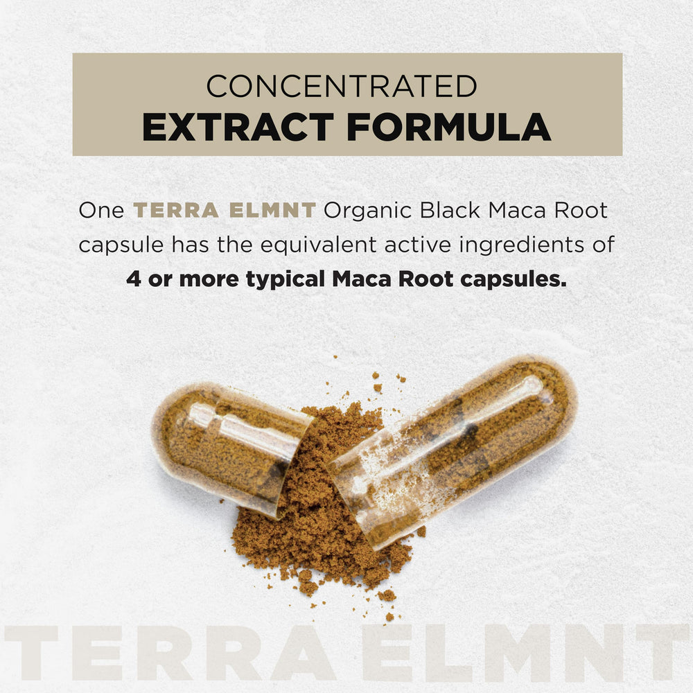 TERRA ELMNT black maca powder texture showing concentrated purity