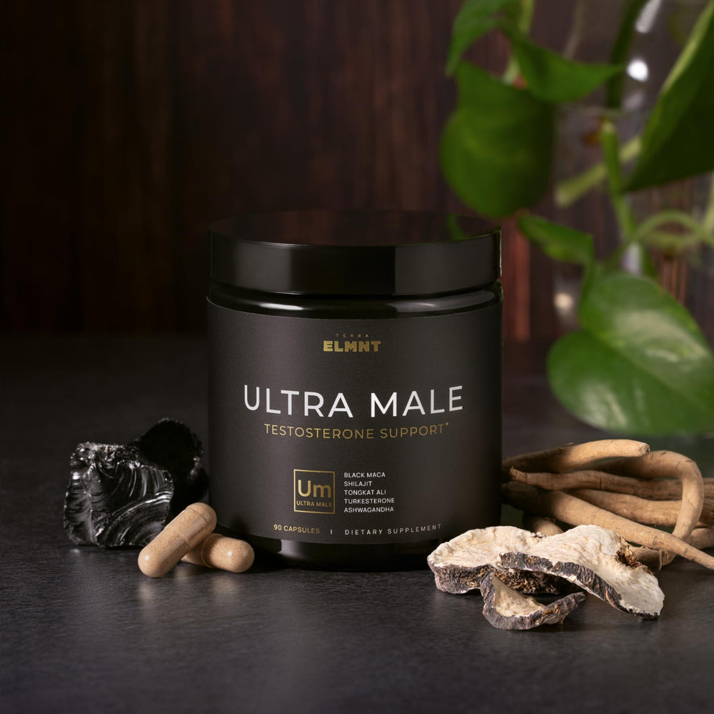 TERRA ELMNT black maca root detail emphasizing high‑strength extract benefit