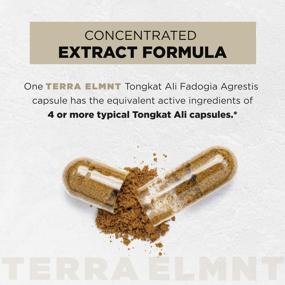 TERRA ELMNT capsule closeup revealing capsule size and smooth finish for easy swallowing