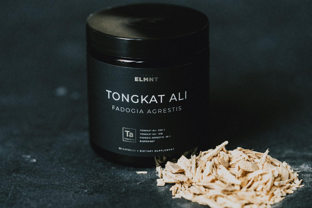TERRA ELMNT extract powder texture detail illustrating concentrated botanical quality