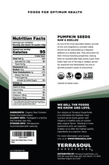 Terrasoul Superfoods close-up of raw pepitas texture and natural color