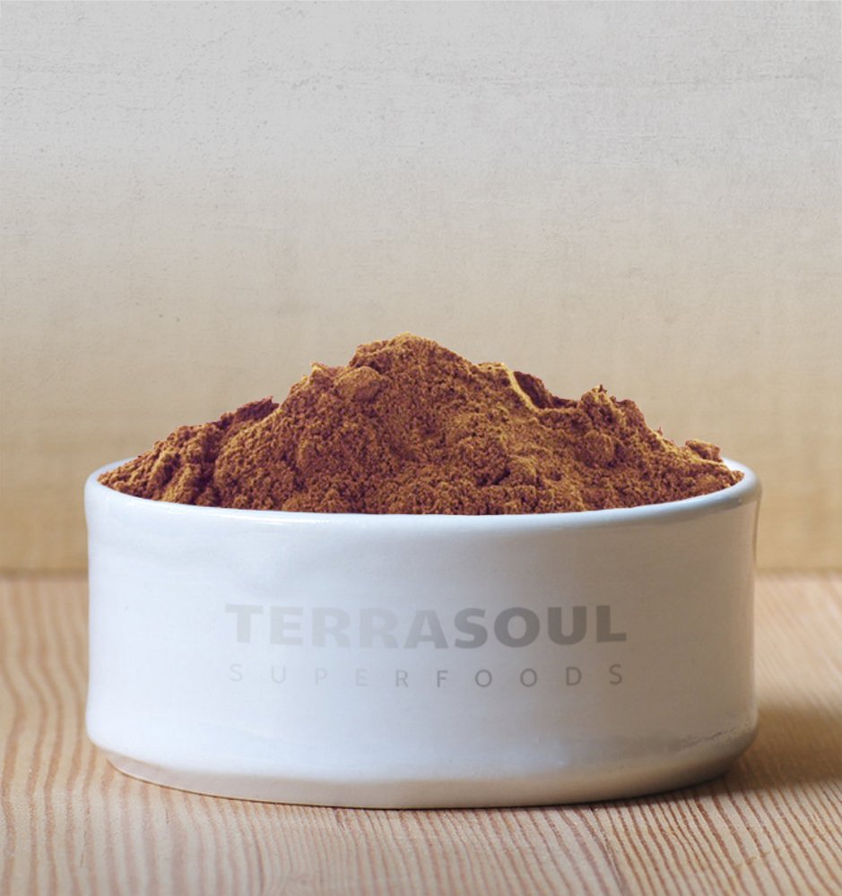 Terrasoul Superfoods cacao scoop on scale showing measuring portion control benefit